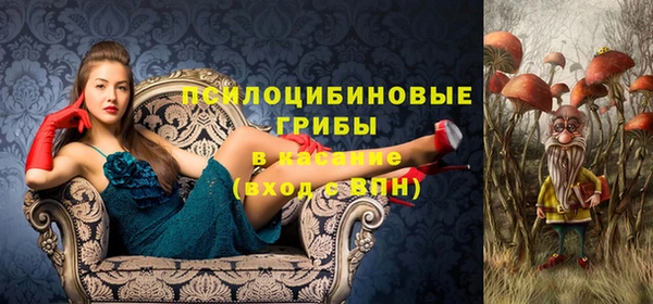 mdpv Вяземский