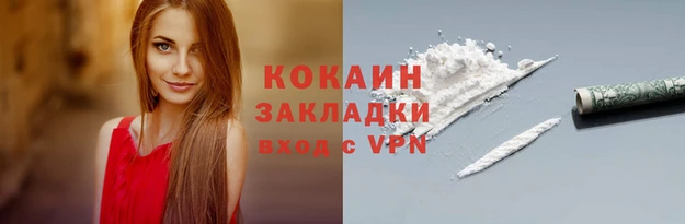 mdpv Вяземский