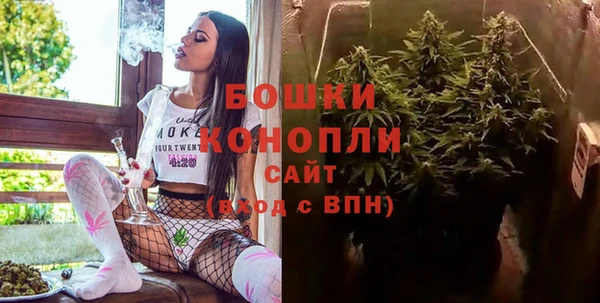 mdpv Вяземский