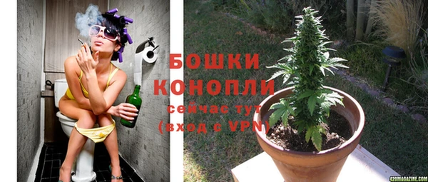 mdpv Вяземский