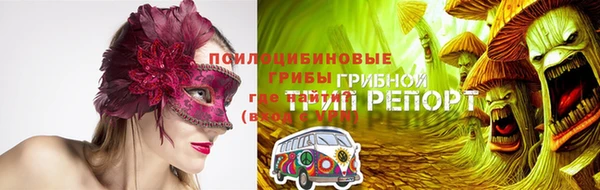 твердый Горнозаводск